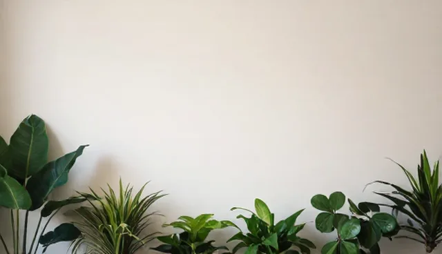 活动执行中拍摄技巧的使用场景与问题分析